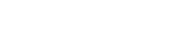 nexi-nets-logo